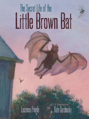 cover image of The Secret Life of the Little Brown Bat